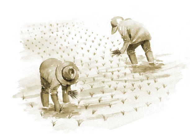 외국인이 참여할 수 있는 무료 지역 공동체 마을잔치 체험