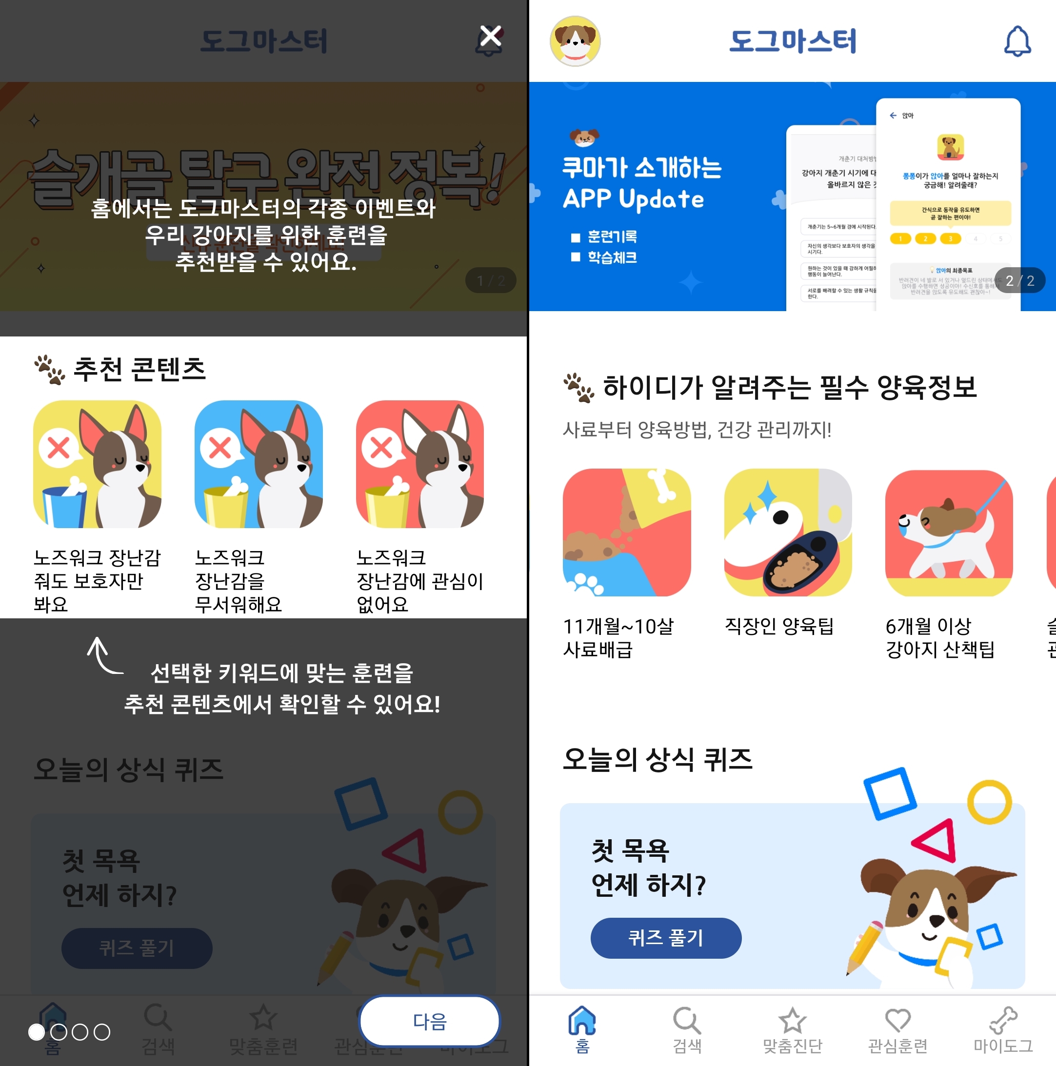 강아지 훈련 앱 사용방법