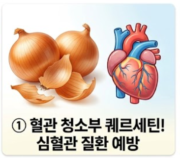 양파 보관법