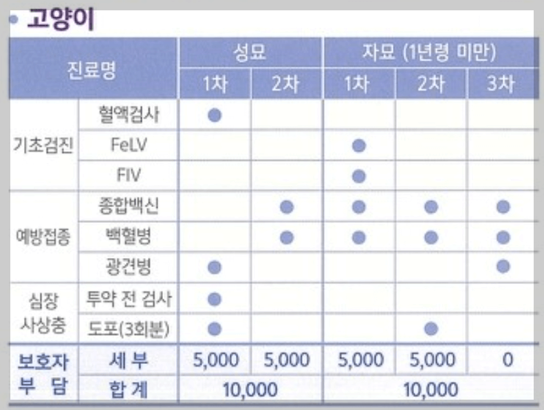 반려동물 의료비 지원 고양이