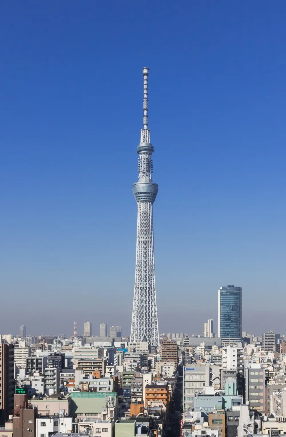 2025 도쿄 스카이트리에서 만나는 픽사 명작 토이 스토리 특별 전시 이벤트 안내_1