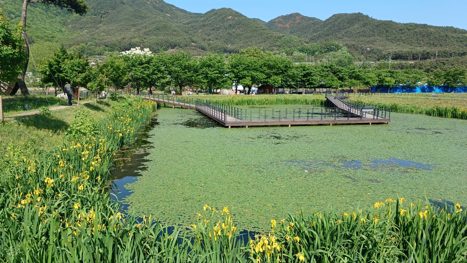 옥연지 송해공원36