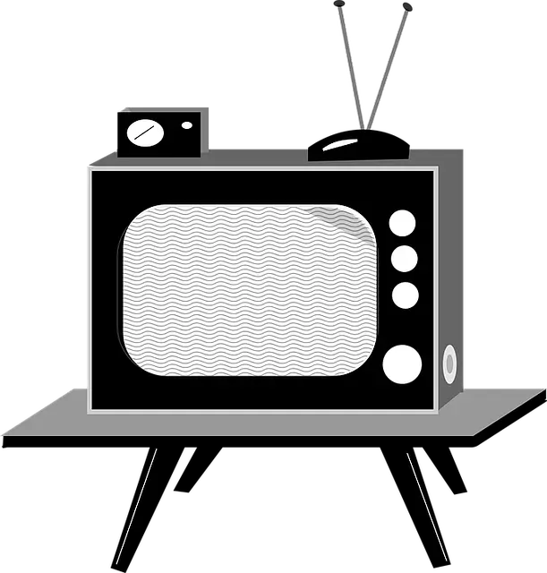 TV 수신료 해지 방법 총정리