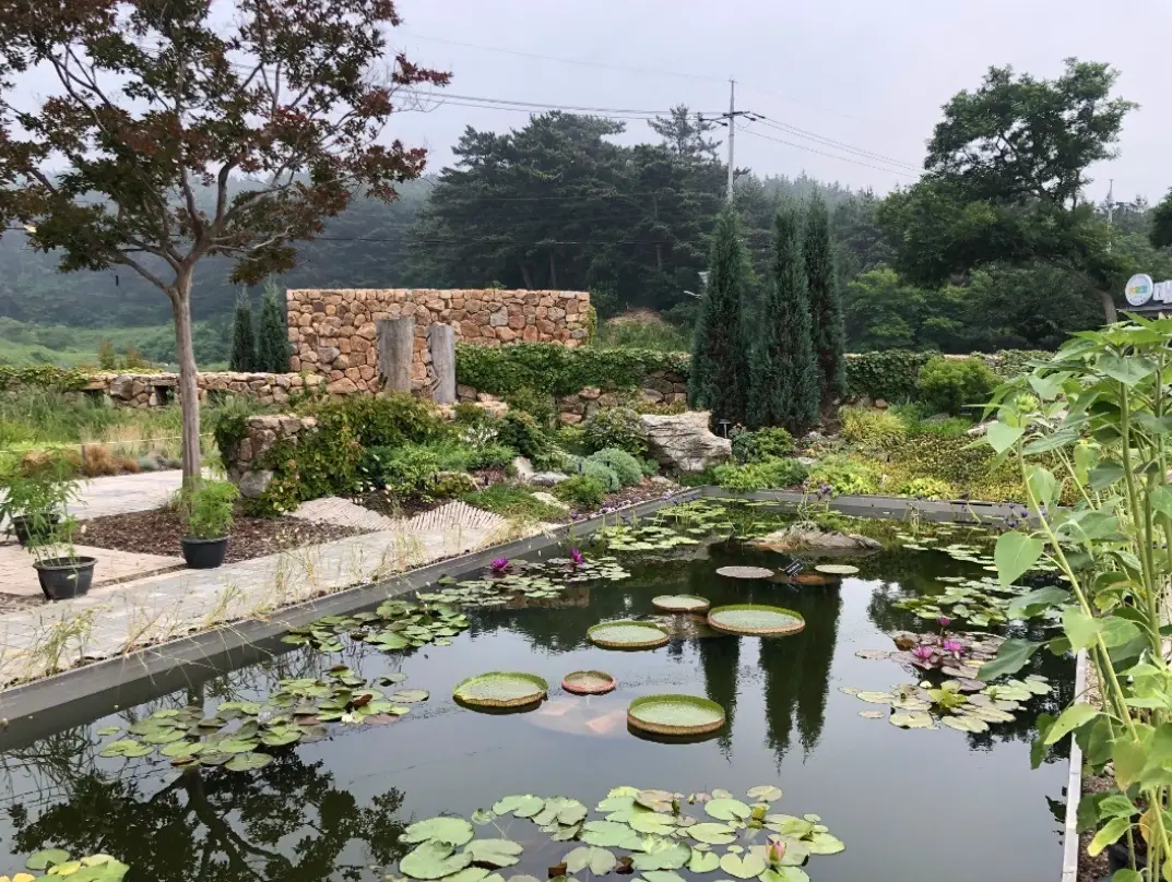 천리포수목원-입장료-운영시간-목련축제