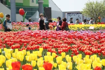 2025 고양국제꽃박람회 일정 사전예약 할인_7