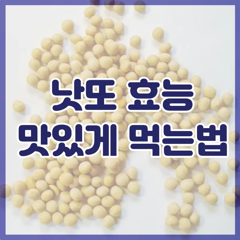 낫또 효능
