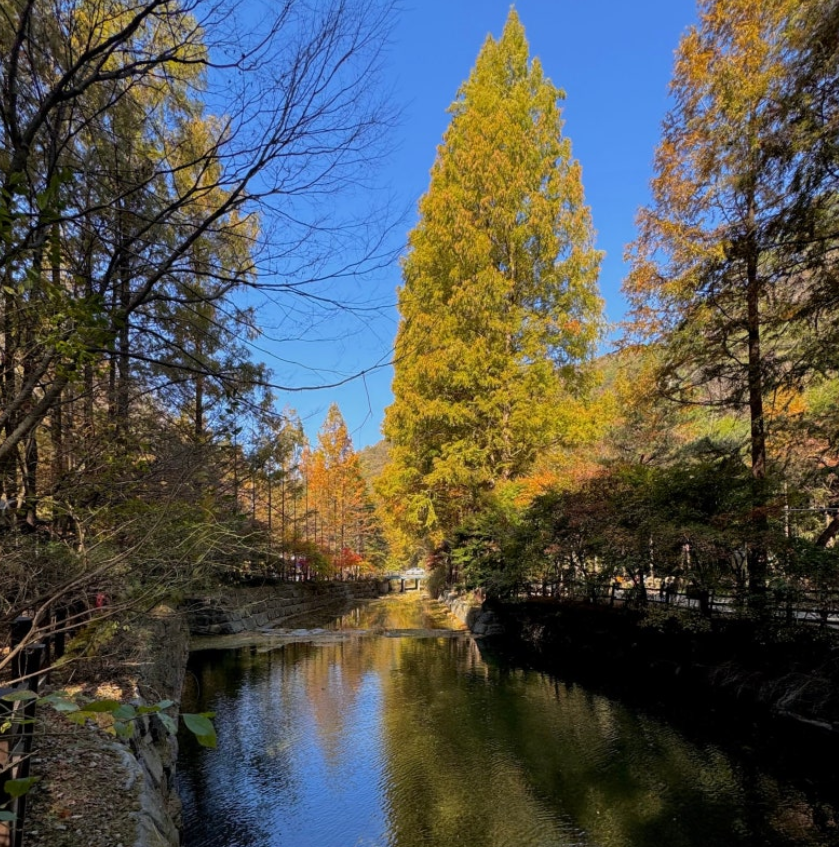 장태산 자연 휴양림