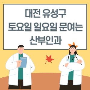 대전 유성구 토요일 일요일 산부인과 진료 문여는 병원 리스트