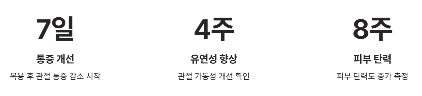 난각막 영양제의 핵심 효능 및 효과