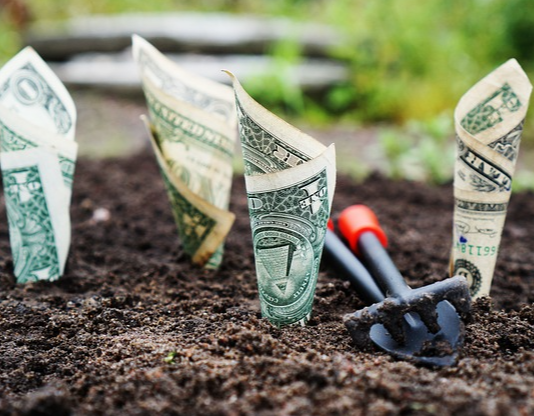 청년월세 지원금 신청, 자격, 꿀팁! 02