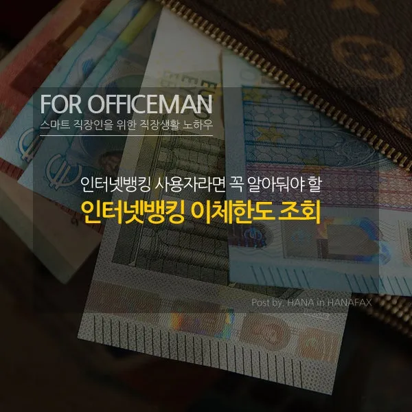 인터넷뱅킹 이체한도 보안매체 분실신고 비밀번호 관리 요령_8