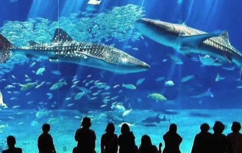 일본 오사카 가볼만한곳 10 자유여행-20 일본 오사카 가볼만한곳 10 자유여행-20