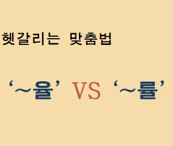 율 률 맞춤법 완벽정리 합격률 합격율_12