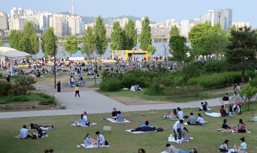 한강피크닉