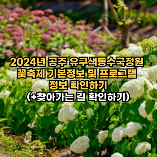 2024년-공주-유구색동수국정원-꽃축제-기본정보-프로그램-정보