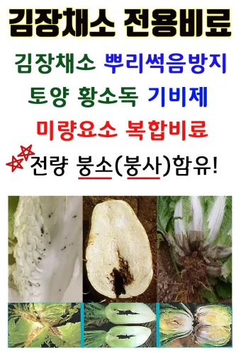 김장무 웃거름 주기 비료주는 시기와 방법을 안내_4