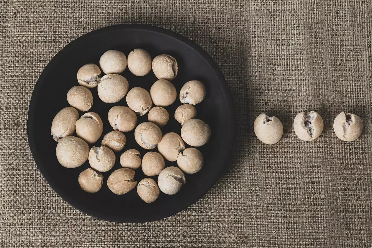 디지털 시대에 굴렁쇠가 필요한 이유