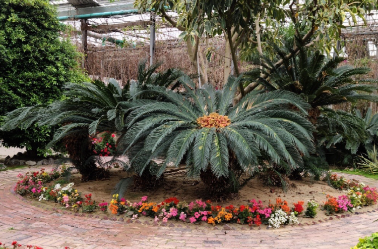 아산 세계꽃식물원