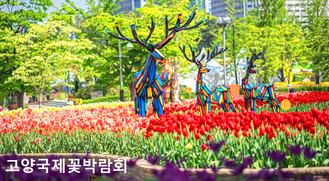 고양국제꽃박람회