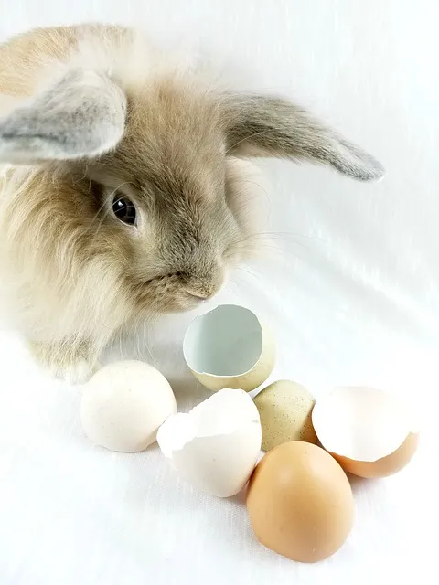 과태료까지 과일(사과&amp;#44;배&amp;#44;바나나&amp;#44;귤&amp;#44;오렌지&amp;#44;수박껍질)&middot;야채 버릴 때 음식물쓰레기 vs 일반쓰레기 완벽 정리 가이드(+생활폐기물 분리배출 누리집)