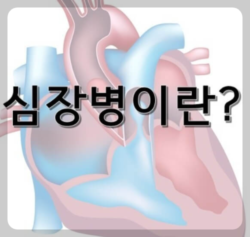 심장병 초기증상 - 심장병이란?