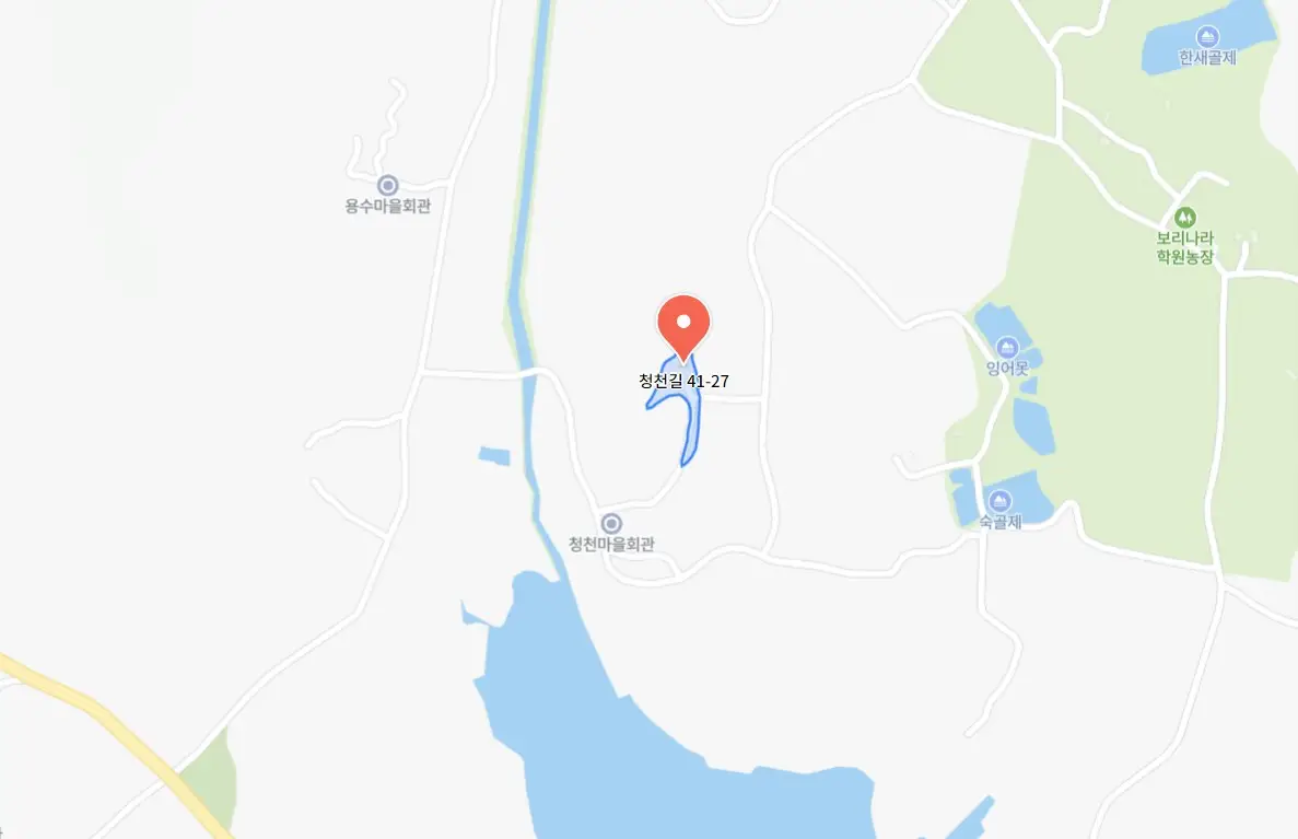 고창청농원 핑크뮬리시즌