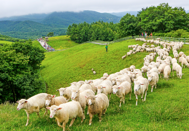 마음까지 쉬어가는 힐링 여행지, 자연 속 쉼표가 필요할 때 떠나보세요