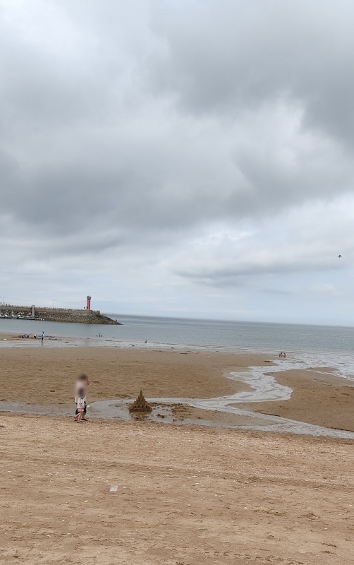 피라미드에 누군가 관심 갖으면 흐뭇해지는 루나군과 아이들
