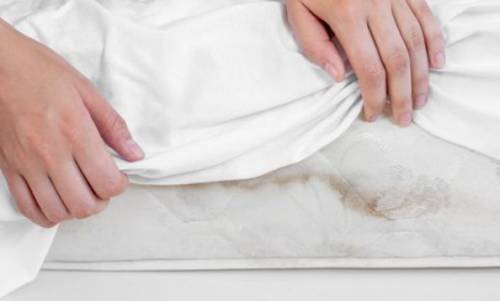 매트리스 곰팡이 흔적