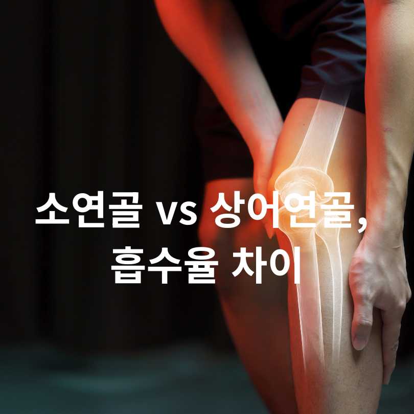 콘드로이친 소연골과 상어연골 차이