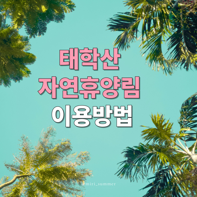 태학산자연휴양림 완벽 정리