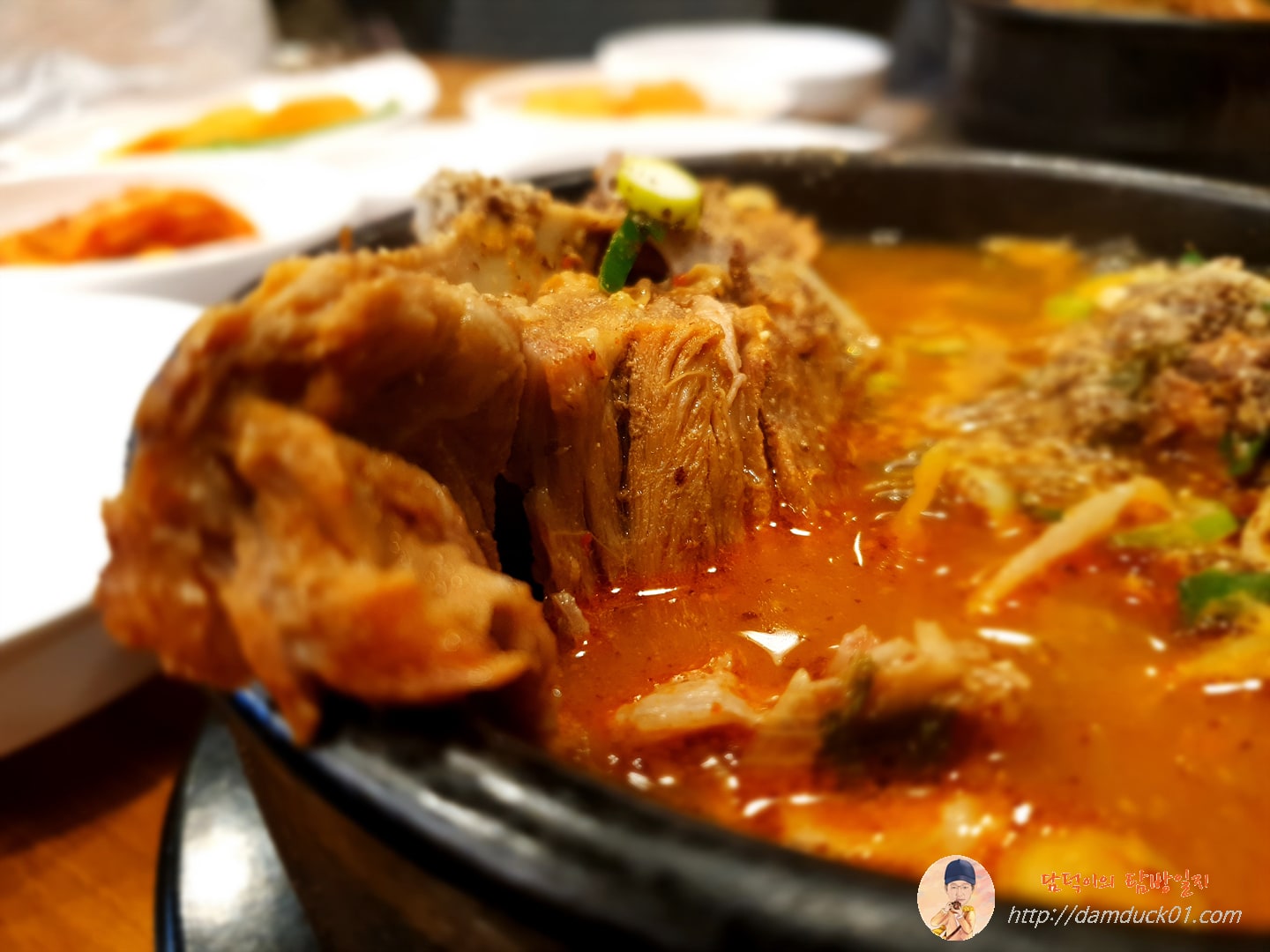 기암절벽 같은 등뼈