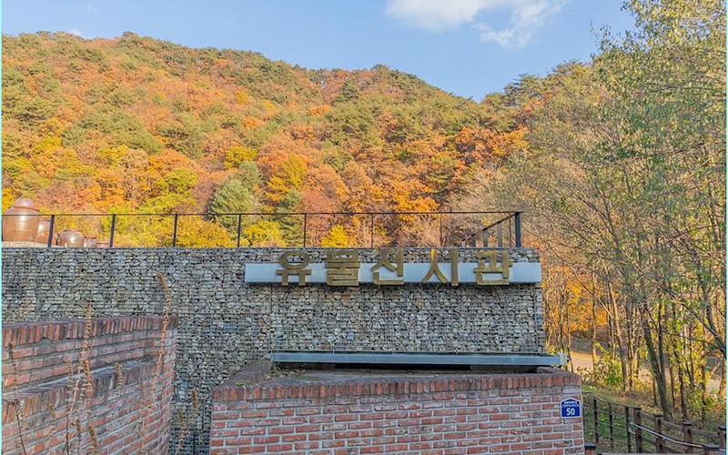 횡성 가을 여행, 인생사진 남기는 단풍 명소 4곳과 당일치기 추천 코스