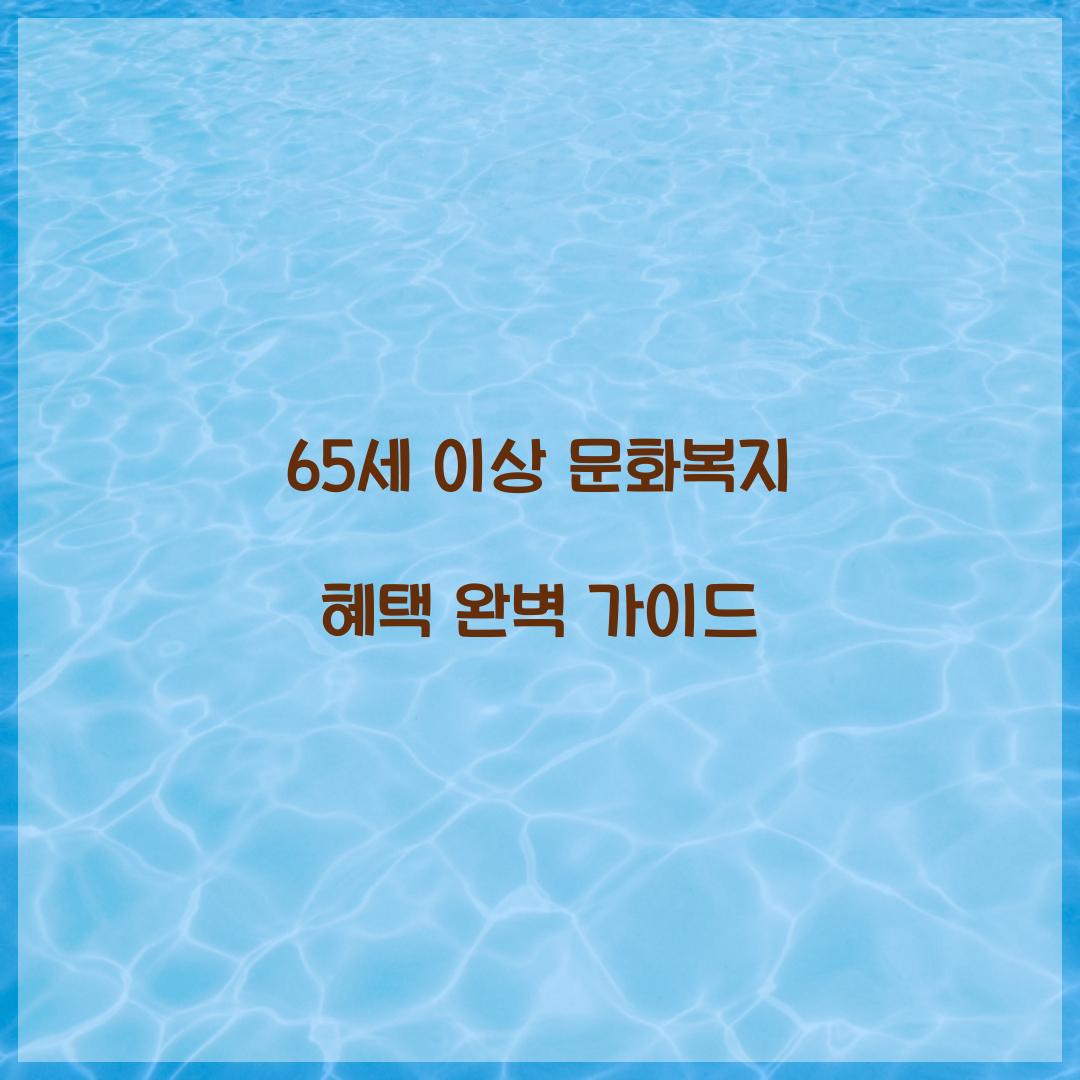 65세 이상 문화복지