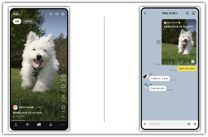 카카오톡 지금탭 신설, 숏폼 채팅방 공유