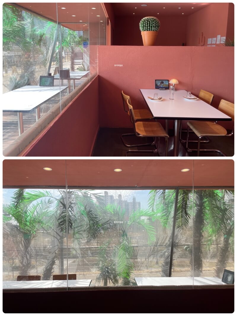 애견 동반 수원 타코 맛집 뽁식당 호매실점 - 창가석