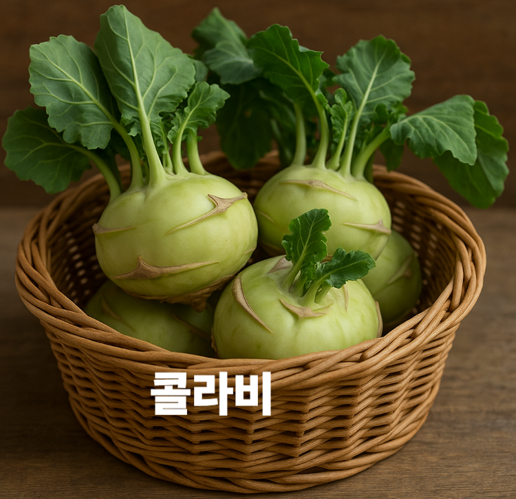 피부건강 변비예방 소화개선 심혈관건강 항암효과 콜라비 효능 영양성분