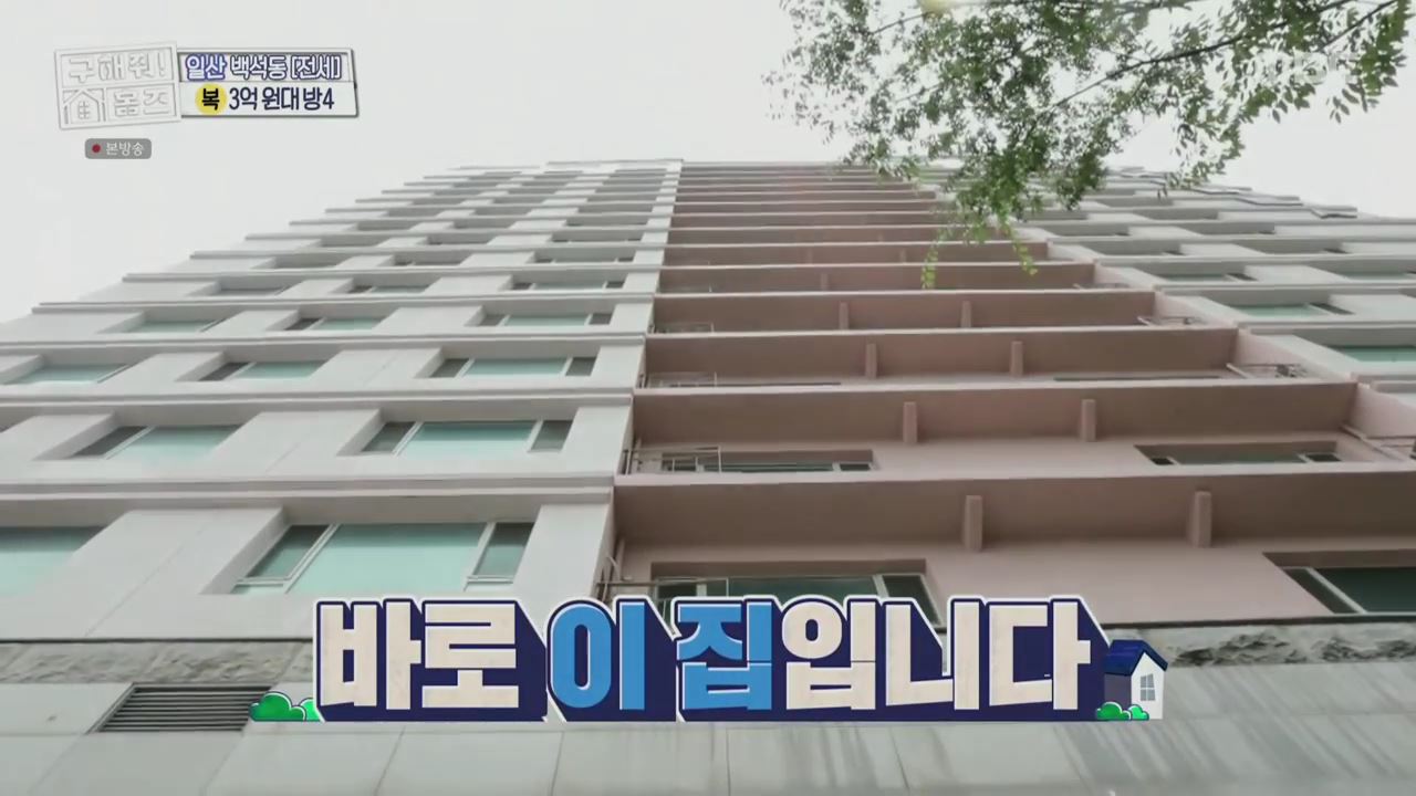 구해줘홈즈 고양시 일산동구 백석동 프러포즈 하우스 매물 가격 및 구조 인테리어 리모델링 최종선택 소개