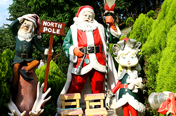 청도 프로방스 빛축제ㅣ물놀이장ㅣ동물체험ㅣ입장료ㅣ반려동물 정보