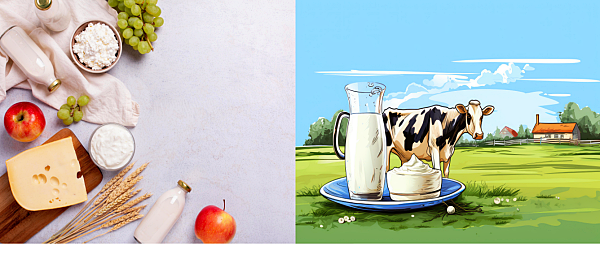 2. 유제품