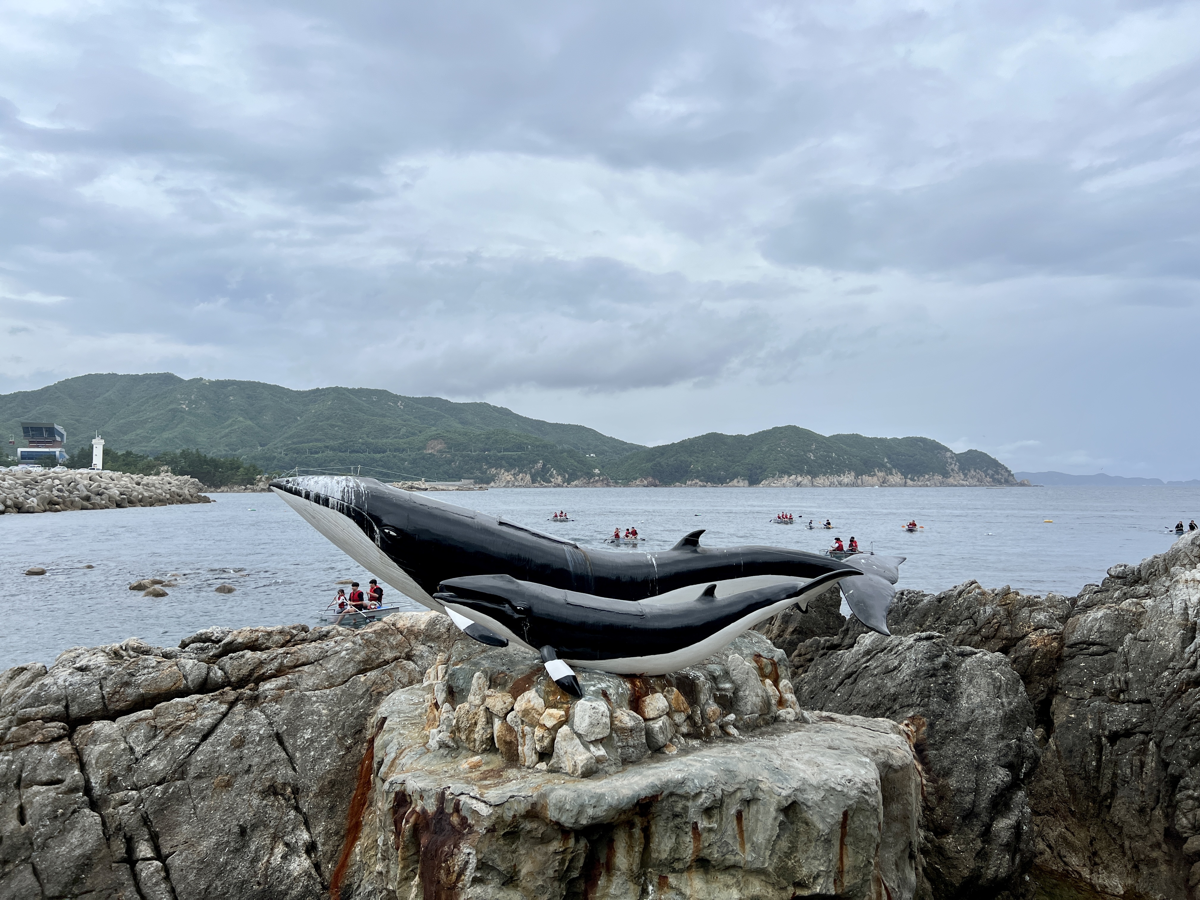 장호항 고래조형물