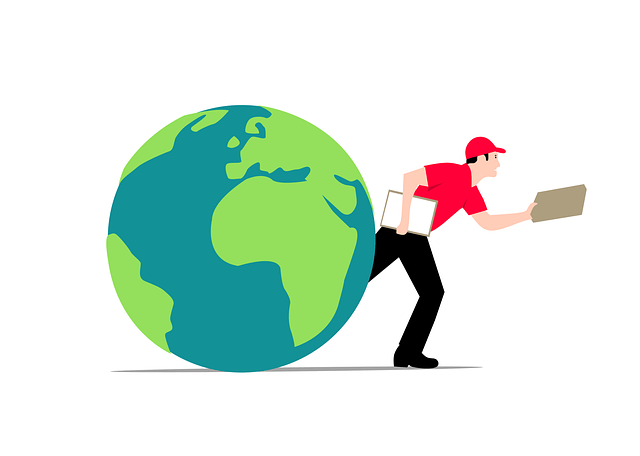 지그재그 배송조회 초간단 방법 총정리