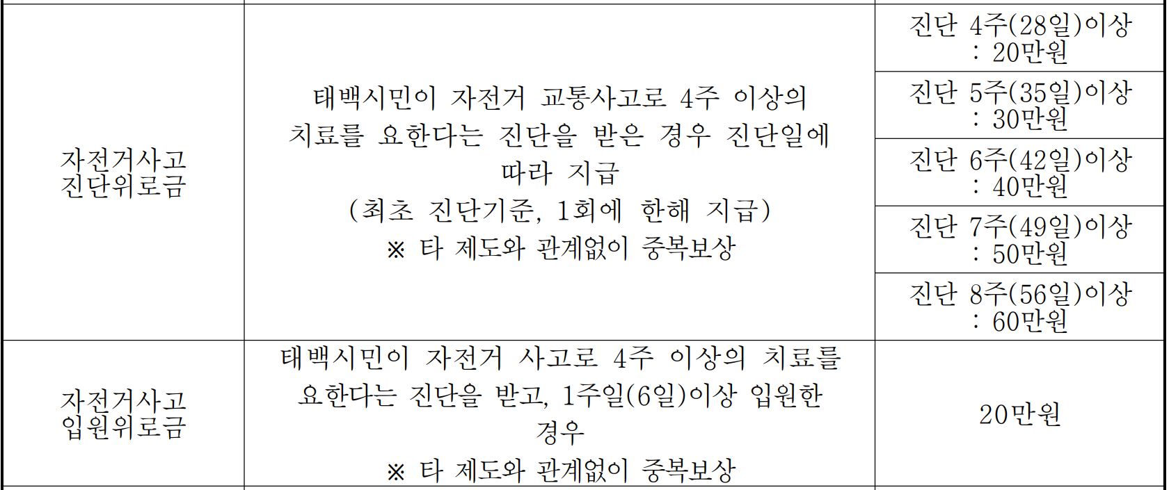 태백시 시민안전보험