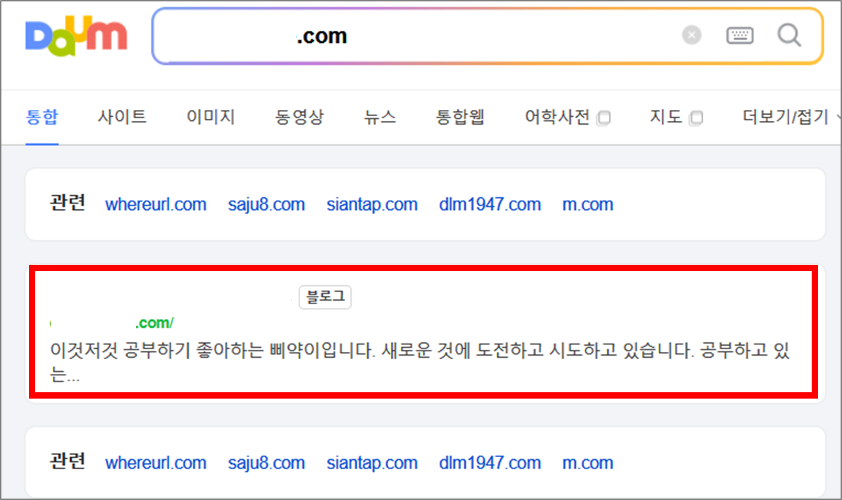 티스토리 최적화 확인 방법