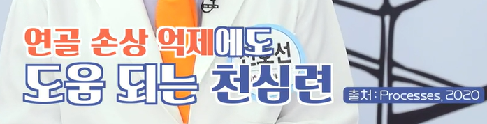 천심련 효능