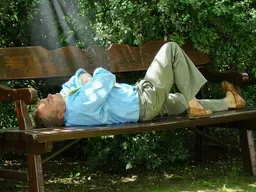 여름철 온열질환 예방 간편 보양 도시락 메뉴