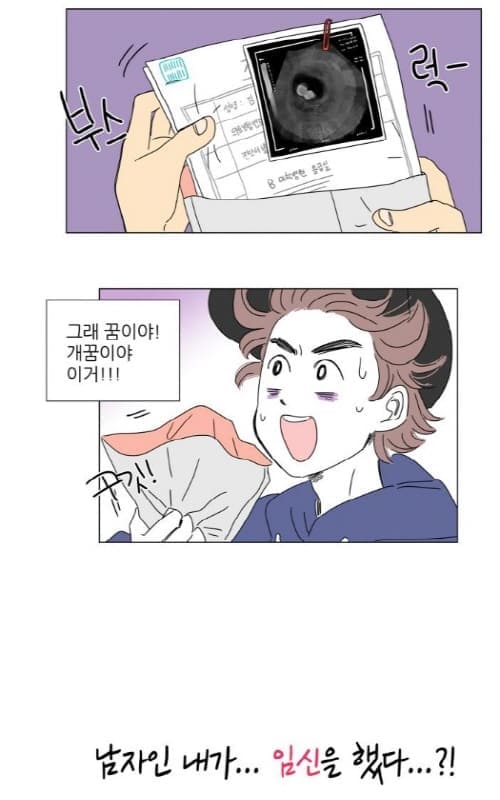 호식이이야기-임신을-하게된-호식이