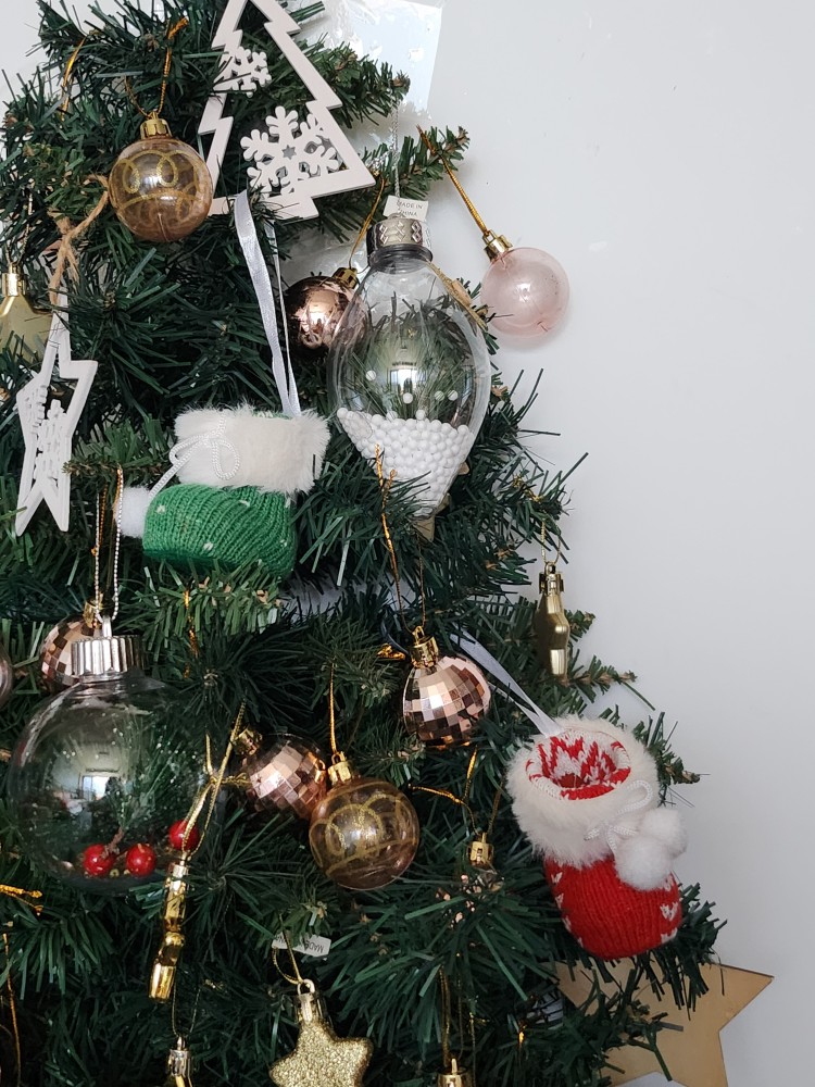 벽트리 근접 사진