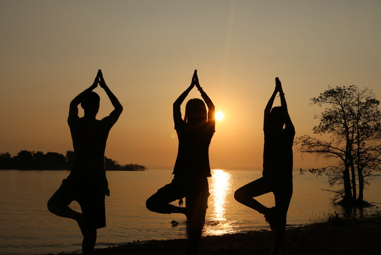 나무 자세 (Tree Pose)