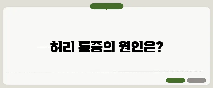 허리가 아픈 이유 허리디스크 신호일까?